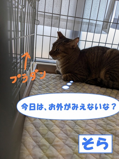 s-sora