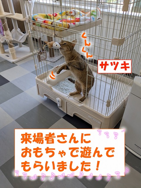 s-satuki