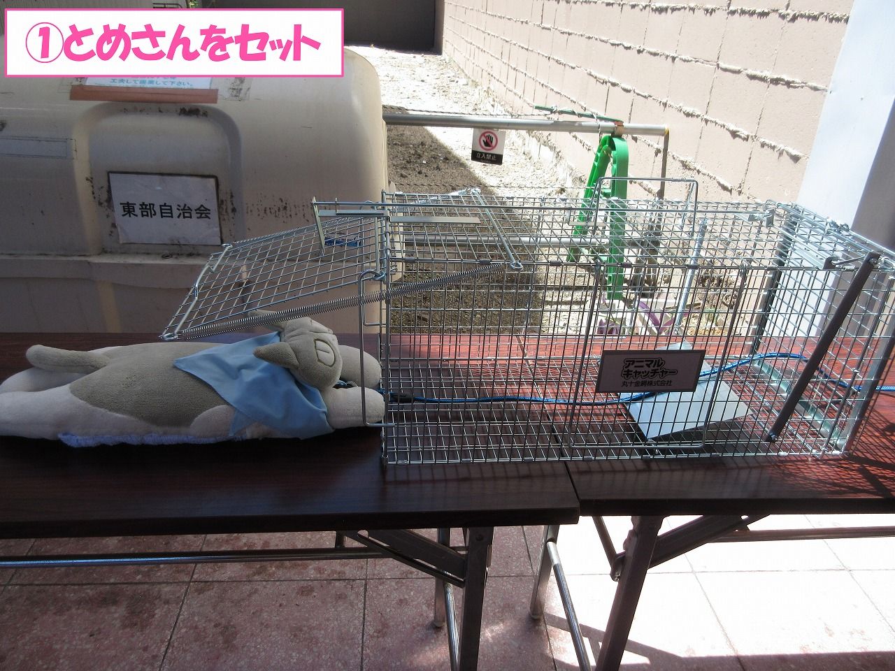 イメージ 5