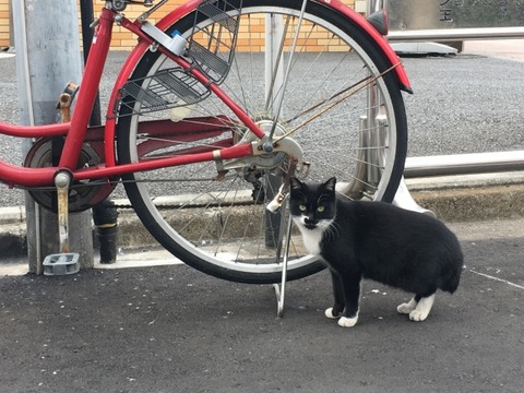 117