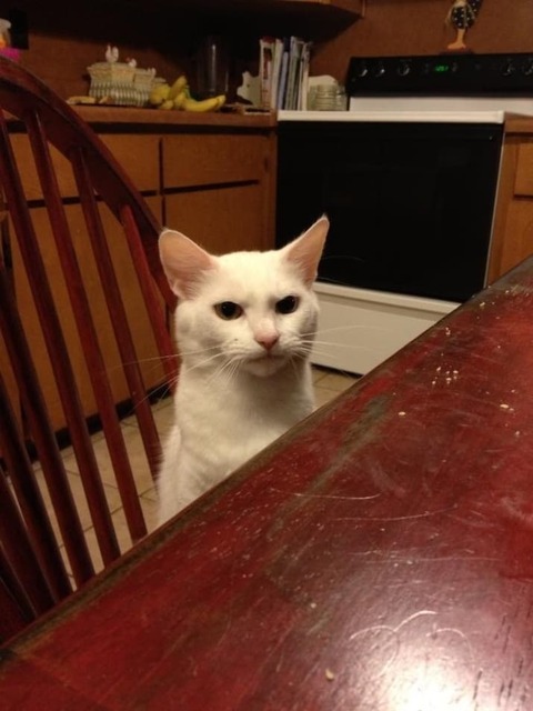 910