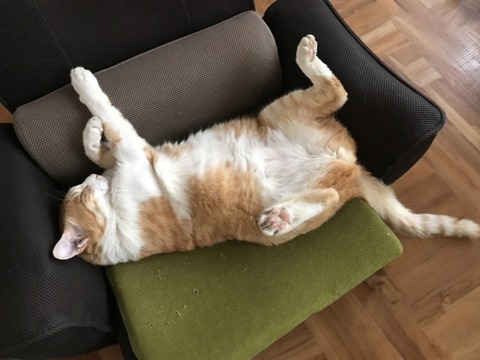 117