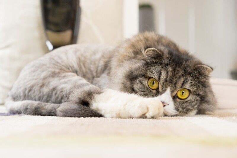 パチンコにハマり 生活費や大事な貯金まで使い込むようになった旦那と９年前に離婚 元旦那メール ４年前に再婚したんだって ってことは ５年は俺の事を待ってたんだよね にゃんこ速報 修羅場 キチママ 生活まとめ