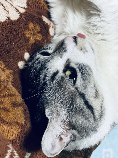 52
