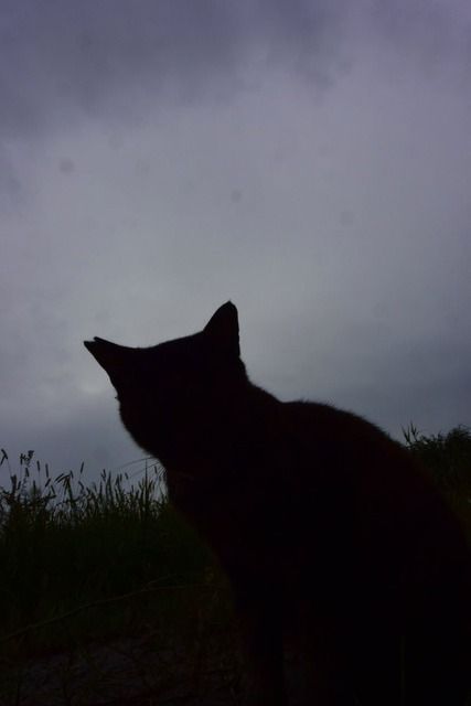 563