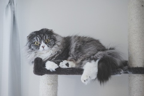 HIRAorenobasyoosu_TP_V