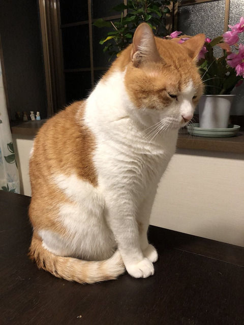 717
