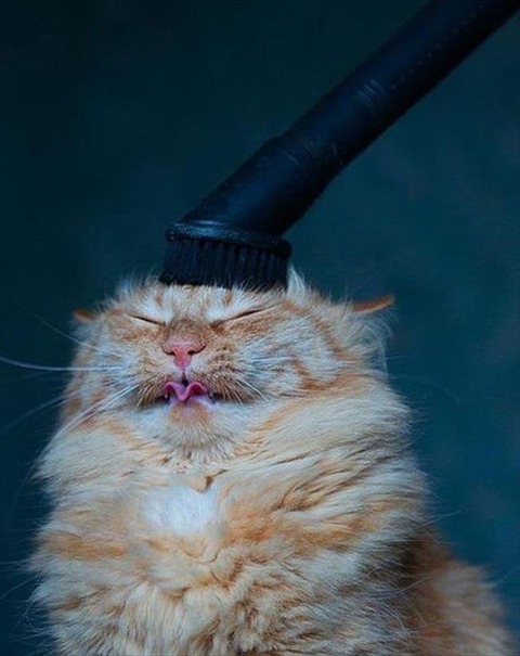 364