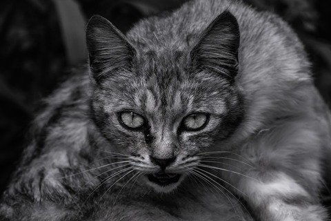 76
