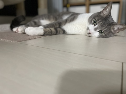 87