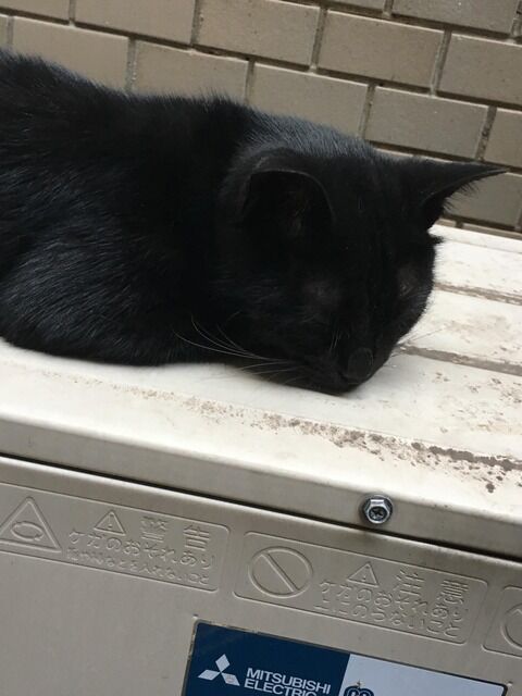 後編 元カノと２週間の海外旅行に行ったことがバレて妻が激怒 妻 新婚旅行は国内一泊二日だったのに 仕事を１５日休んでよ 元カノより私を愛してるならできるはず にゃんこ速報 修羅場 キチママ 生活まとめ