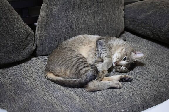 後編 母のﾀﾋに落ち込み 嫁に相談なしで仕事を辞めた 家でゴロゴロしたり 嫁に毎日行為を迫ったり 行為中に ママ と叫んだりして たら 嫁 離婚したい 冷たくないか にゃんこ速報 修羅場 キチママ 生活まとめ