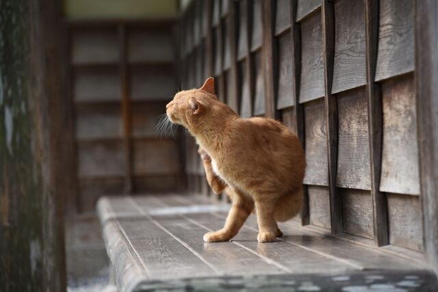 喧嘩のたびに離婚をちらつかせてくる旦那に冷めた 旦那が仕事行ってる間に引っ越し業者に来てもらって 旦那がサインして渡してきた離婚届に私もサインして役所に提出 すると にゃんこ速報 修羅場 キチママ 生活まとめ 喧嘩のたびに離婚をちらつかせてくる旦那に冷めた 旦那が仕事行ってる間に引っ越し業者に来てもらって 旦那がサインして渡してきた離婚届に私もサインして役所に提出 すると にゃんこ速報 修羅場 キチママ 生活まとめ