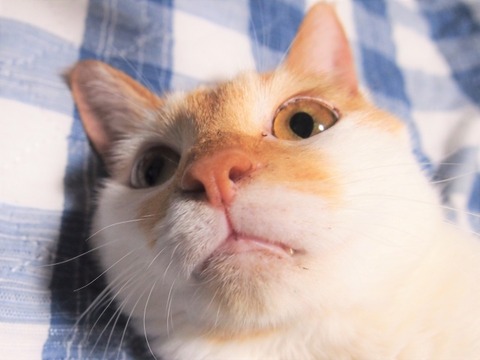 56