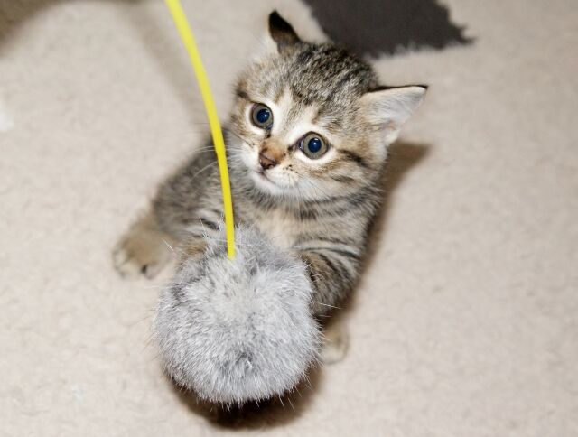 俺「深夜に何時間も男とボイチャでゲームするのやめて」嫁「楽しいからやめない」俺「なら俺も一緒にゲームを・・・」嫁「私