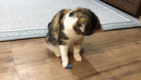 111