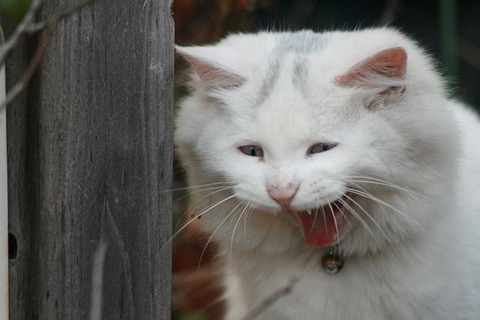 177
