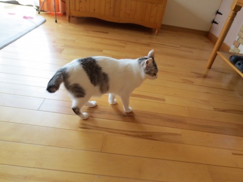 91