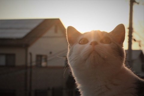 94