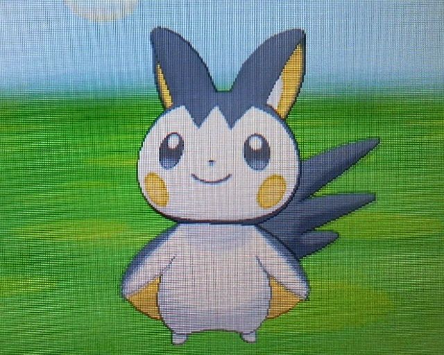にゃん太のポケモン日記 にゃん太のｘｙプレイ日記 育成編 エモンガ