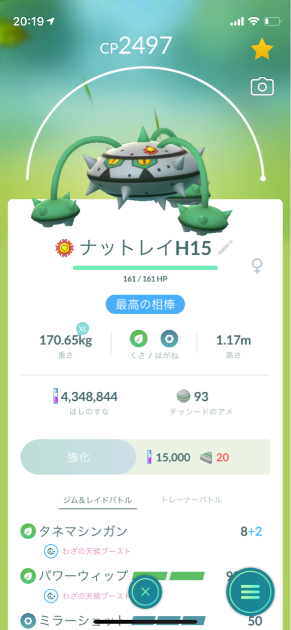 にゃん太のポケモン日記 ハイパーリーグ用ナットレイ完成 にゃん太のポケモン日記 ハイパーリーグ用ナットレイ完成