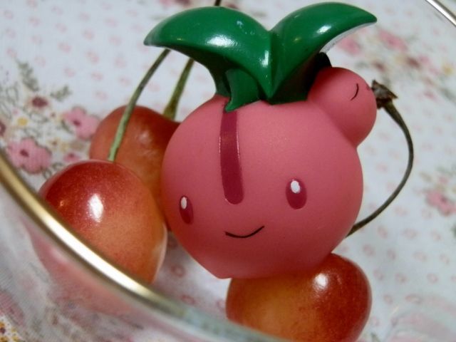 にゃん太のポケモン日記 ポケモンキッズ チェリンボ