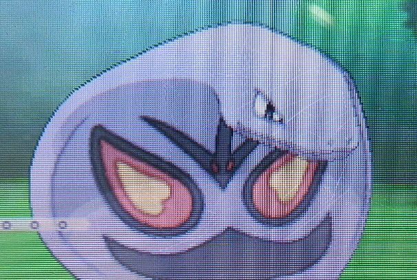 にゃん太のポケモン日記 xyプレイ日記 にゃん太のポケモン日記 xyプレイ日記