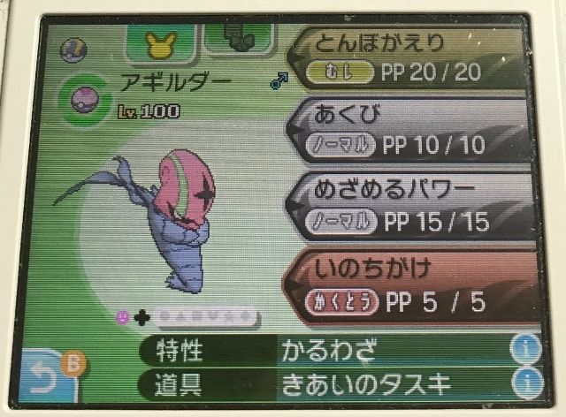 にゃん太のポケモン日記 17年06月日 にゃん太のポケモン日記 17年06月日
