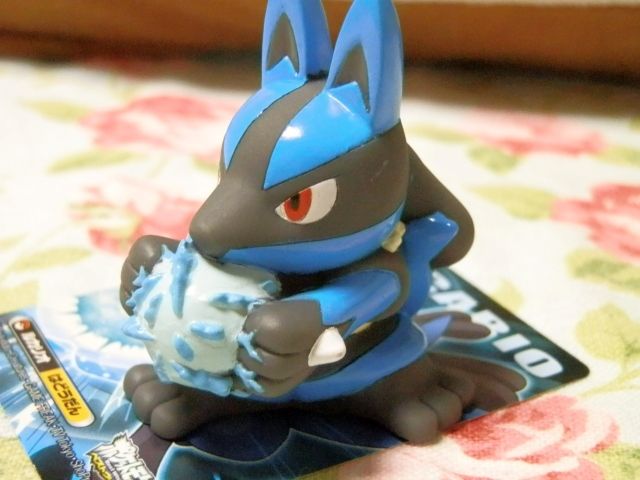 にゃん太のポケモン日記 キメわざポケモンキッズbw4 ルカリオ