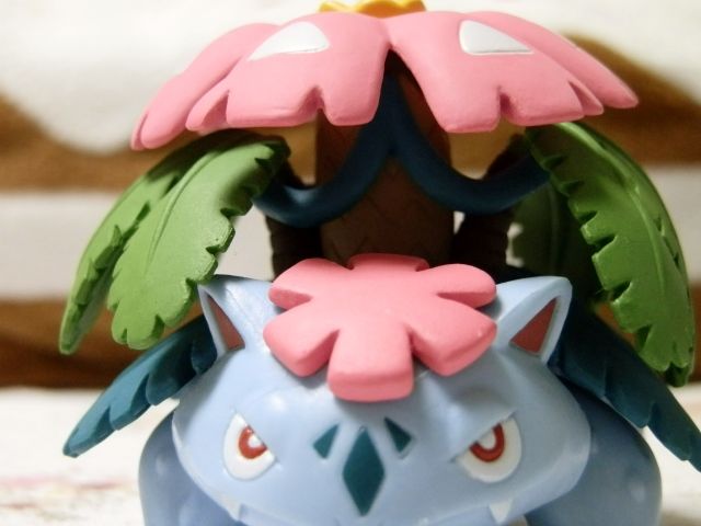 イメージ 8