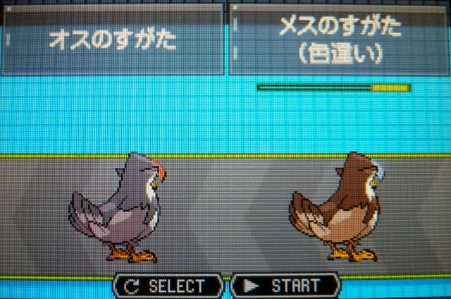 にゃん太のポケモン日記 色違いムクバード ムクホーク