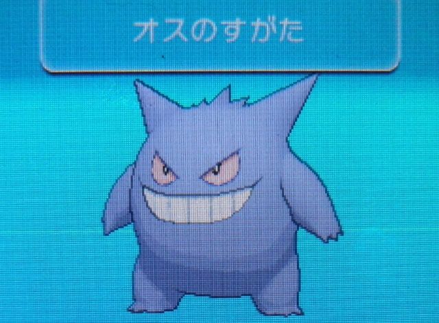 にゃん太のポケモン日記 xyプレイ日記 にゃん太のポケモン日記 xyプレイ日記