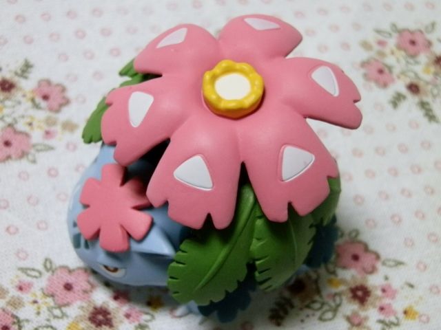 イメージ 6