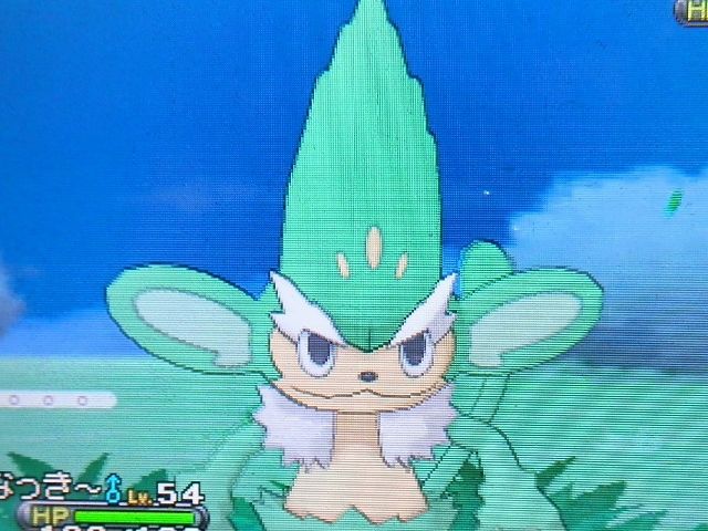 にゃん太のポケモン日記