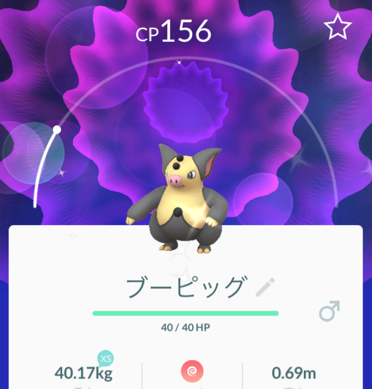 にゃん太のポケモン日記 ポケモンgo 色違いのバネブーゲット 色違いのブーピッグに進化
