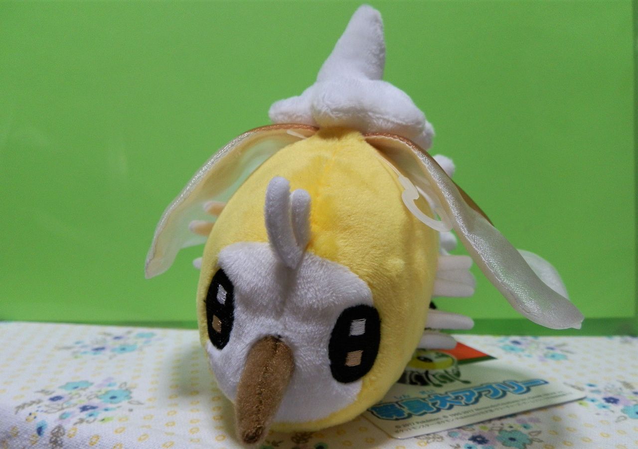 にゃん太のポケモン日記 等身大アブリーのぬいぐるみ