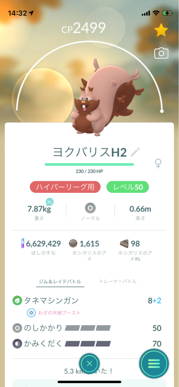 にゃん太のポケモン日記 ハイパーリーグのヨクバリス