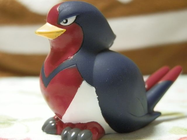 にゃん太のポケモン日記 ポケモンキッズｂｗ ミュウツー編 オオスバメ