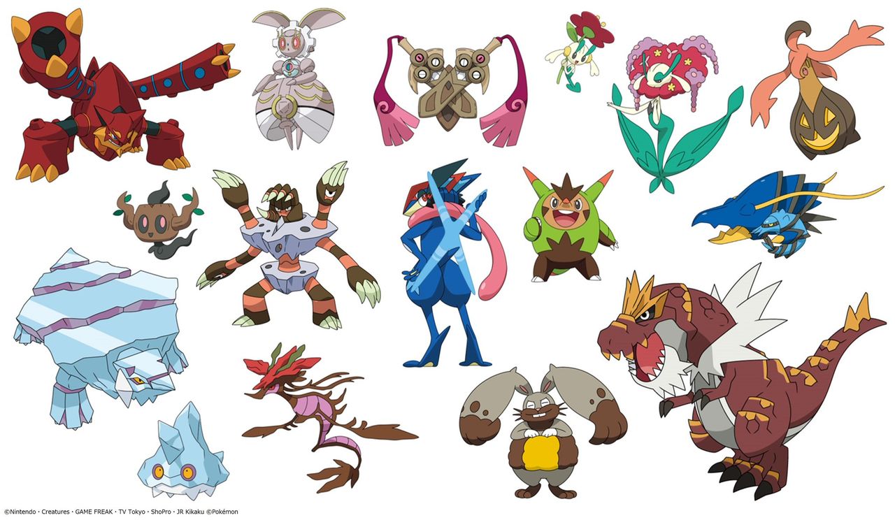 ポケモンキッズ　カロススペシャル　ホルード ポケモンキッズ カロススペシャル編【プレミアムバンダイ限定