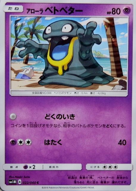 にゃん太のポケモン日記 16年12月12日
