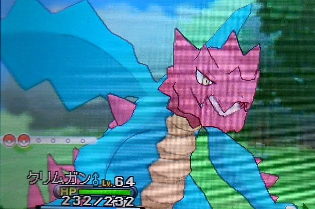 にゃん太のポケモン日記 ｘｙプレイ日記