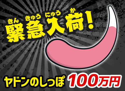 関ジャニ ちびぬい キャンピングカー付き Candelariadelafrontera Gob Sv