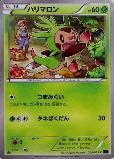 にゃん太のポケモン日記 青い衝撃なポケモンたち ハリマロン テッポウオ オクタン
