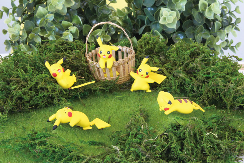 にゃん太のポケモン日記 18年02月14日