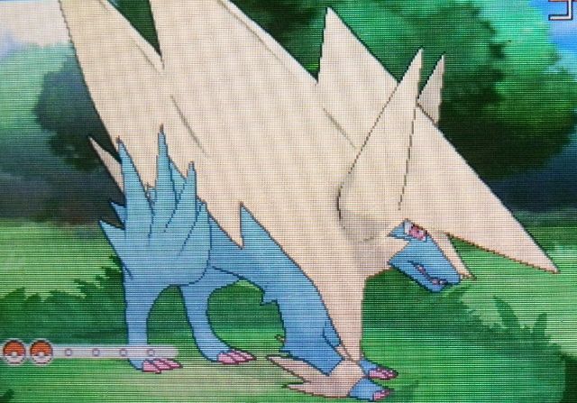 にゃん太のポケモン日記 にゃん太のｘｙプレイ日記 メガ進化編 メガライボルト
