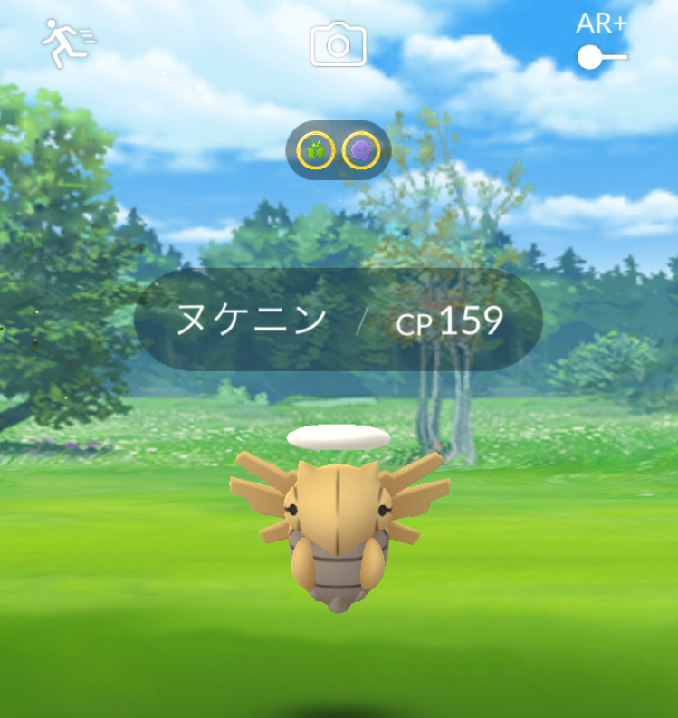 にゃん太のポケモン日記 18年11月02日