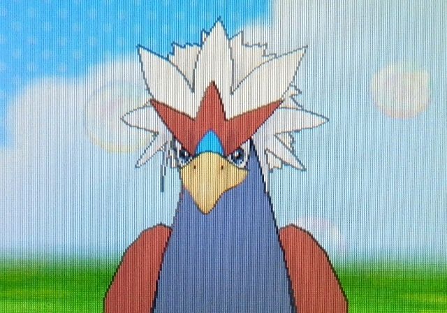 にゃん太のポケモン日記 にゃん太のxyプレイ日記 育成編 ウォーグル にゃん太のポケモン日記 にゃん太のxyプレイ日記 育成編 ウォーグル