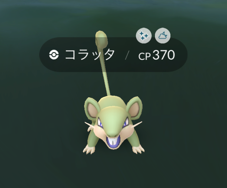 にゃん太のポケモン日記 ゲーム
