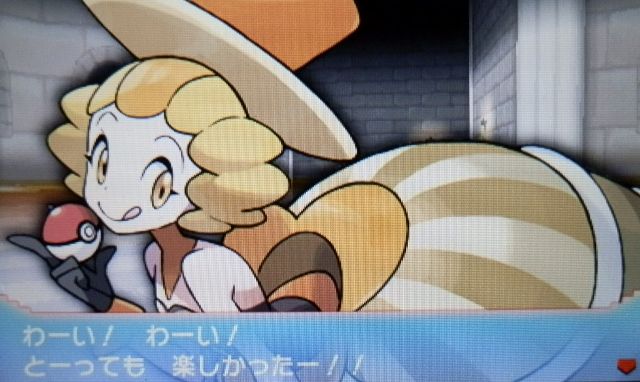 イメージ 5
