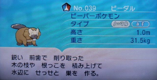 にゃん太のポケモン日記 13年10月17日